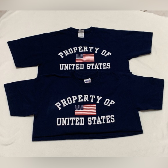 Gildan Other - LOT OF 2 GILDAN NAVY BLUE “PROPERTY OF USA” COTTON T-SHIRTS - SZ MEDIUM